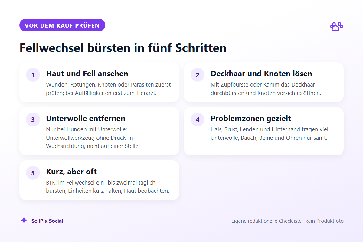 Anleitung in fünf Schritten zum Bürsten eines Hundes im Fellwechsel