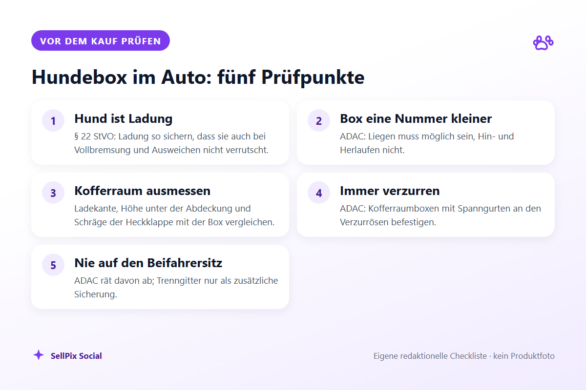 Checkliste mit fünf Prüfpunkten zur Hundebox im Auto