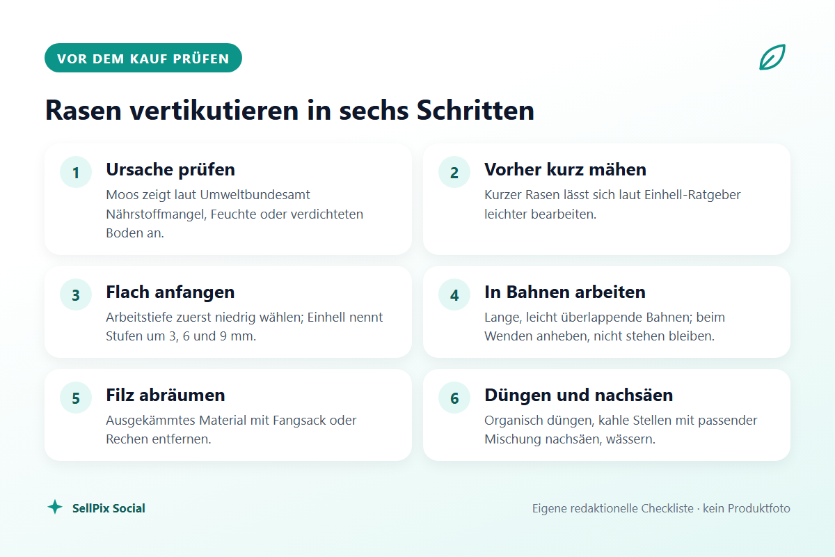 Checkliste in sechs Schritten zum Vertikutieren eines Rasens