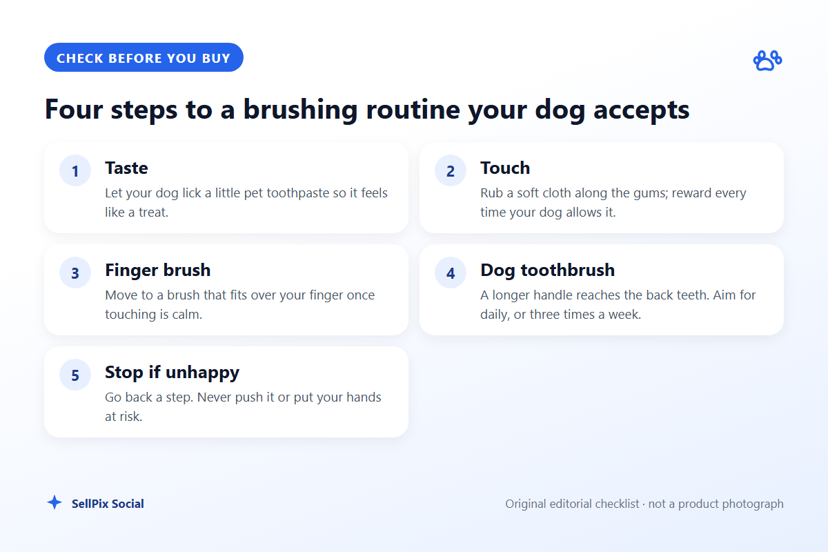 Checklist of the four steps for starting to brush a dog's teeth